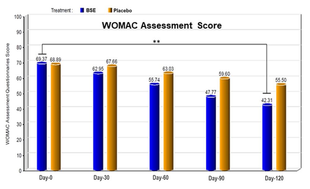 보스웰리아 섭취시 WOMAC 지수 변화