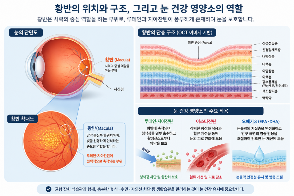 양소의 역할
