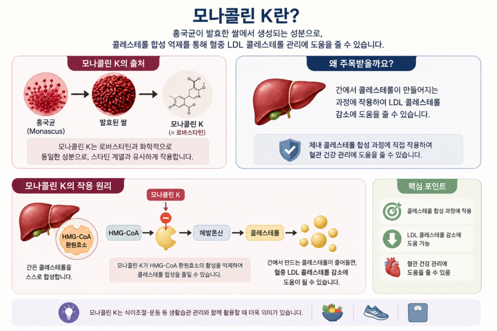 모나콜린K에 대한 설명