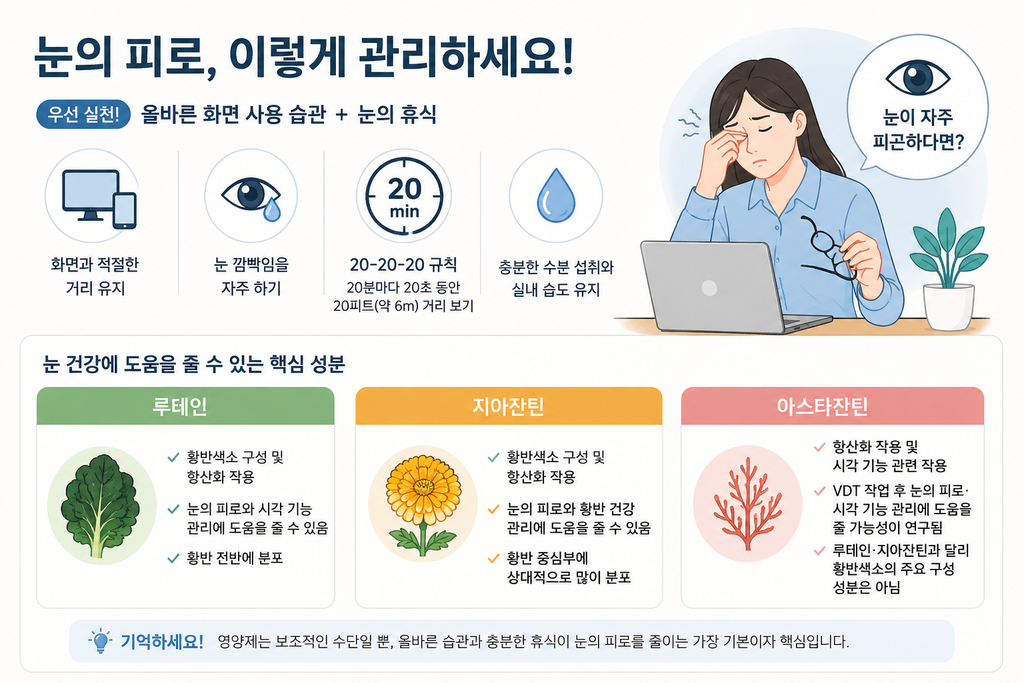 눈 피로 관리방법(영양제 기반)