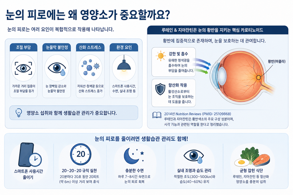 눈의 피로에 영양소가 중요한 이유
